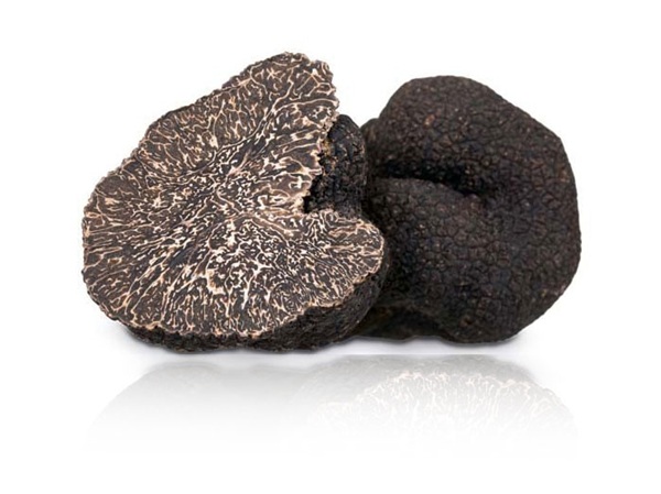 Trufa negra refeljo